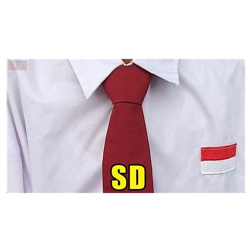 Cara memakai dasi smp segitiga simple